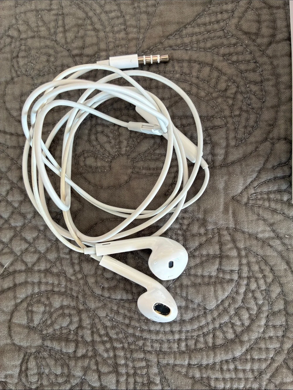 Apple White EarPods with Lightning to 3.5mm Adapter and Case